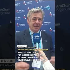 Nicolás Pino: “La carne de guanaco debería poder comercializarse en todo el país”