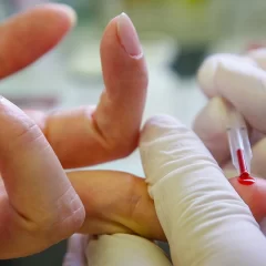 Equipo de Antropología Forense buscará personas desaparecidas en democracia en Chubut