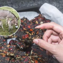 Exclusivo: el negocio millonario detrás de la venta de carne de burro que busca exportar a China