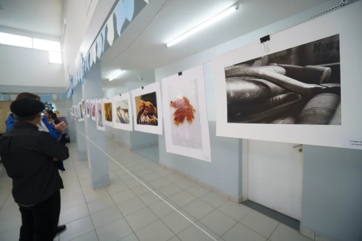 ENCUENTRO-LITERARIO-DE-RIO-GALLEGOS-LEE-110426-4-728x485