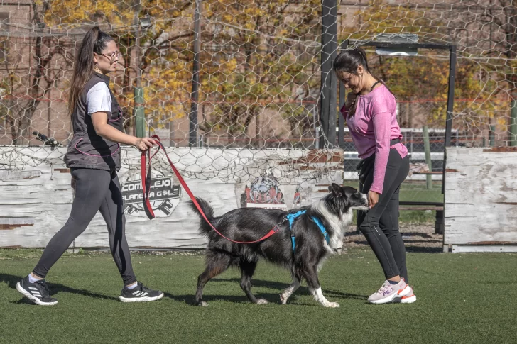FIORELLA-SAMPIETRO-DANDO-CLASES-PRESENCIALES-728x485
