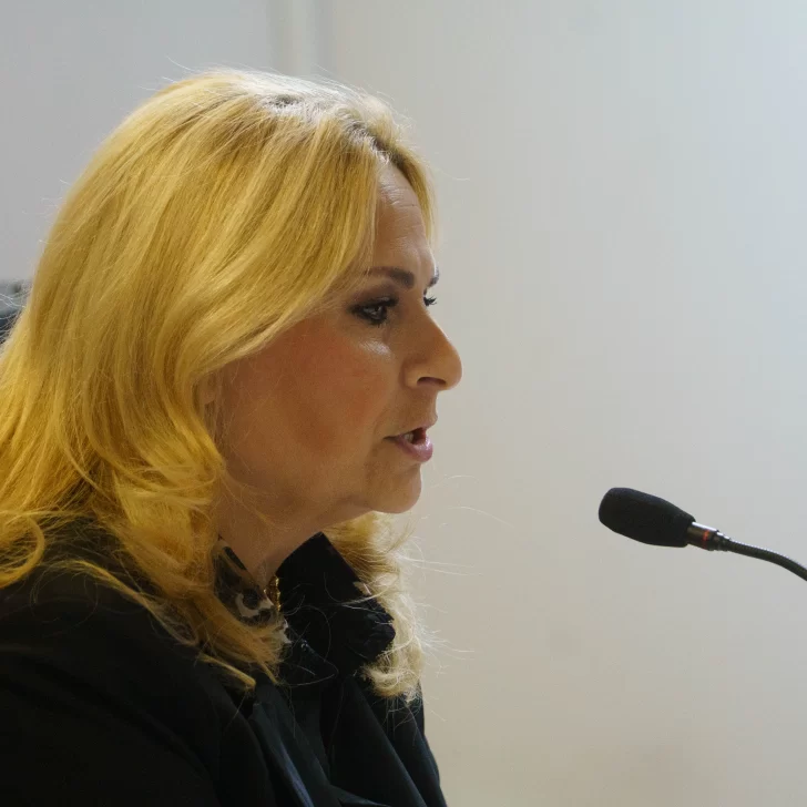 Juicio ARA San Juan: la abogada Valeria Carreras celebró el pedido de inspección ocular al ARA Santa Cruz Juicio ARA San Juan: la abogada Valeria Carreras celebró el pedido de inspección ocular al ARA Santa Cruz