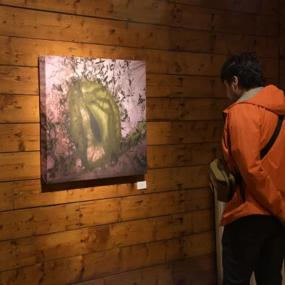 Naturaleza, oscuridad y alquimia en “Still life” de Beatriz Diment