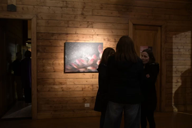 MUESTRA-STILL-LIFE-DE-BEATRIZ-DIMENT-2-728x485