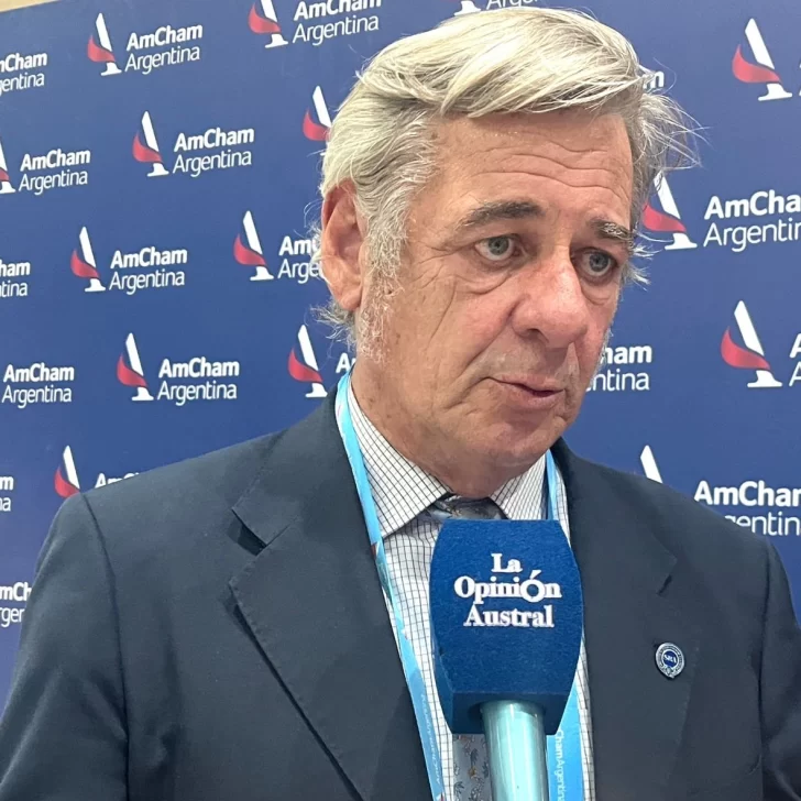 Nicolás Pino: “La carne de guanaco es muy valorada y debería poder comercializarse en todo el país” Nicolás Pino: “La carne de guanaco es muy valorada y debería poder comercializarse en todo el país”