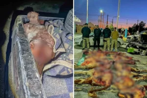 Duro mensaje del sector agropecuario por el aumento del abigeato en Santa Cruz: “El campo no puede seguir siendo rehén de la impunidad”