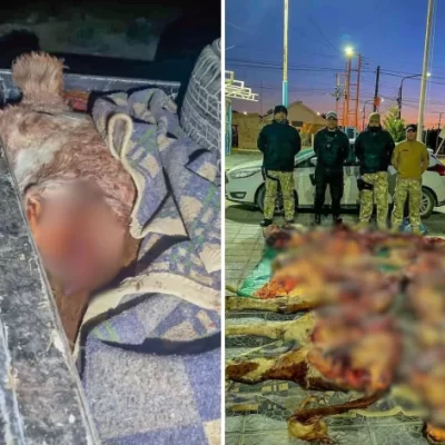 Duro mensaje del sector agropecuario por el aumento del abigeato en Santa Cruz: “El campo no puede seguir siendo rehén de la impunidad”