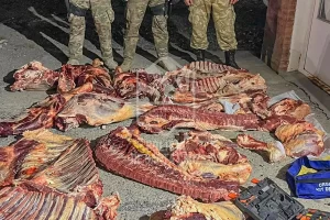 Abigeato en Santa Cruz: transportaba dos vacas faenadas en una camioneta y quedó detenido Abigeato en Santa Cruz: transportaba dos vacas faenadas en una camioneta y quedó detenido