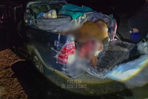 Se robaron 3 vacas de una estancia de Santa Cruz, las carnearon y los sorprendieron trasladándolas en una camioneta