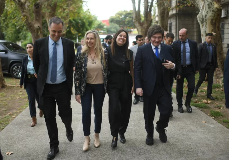 adorni-pettovello-728x510