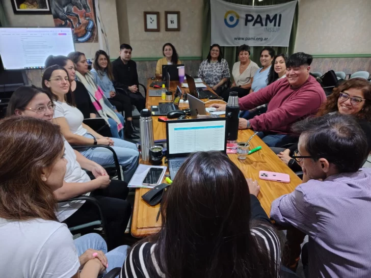 capacitacion.pami_.lasheras.d2-728x546