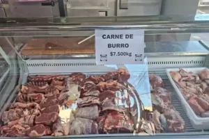 Carne de burro para comer: todo lo que tenés que saber sobre el proyecto de Chubut que se la ofrece a $7.500 el kilo
