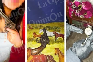 “Sigan haciéndose las malas”: menor demorada con un arma tras amenazar por redes sociales a compañeros de escuela