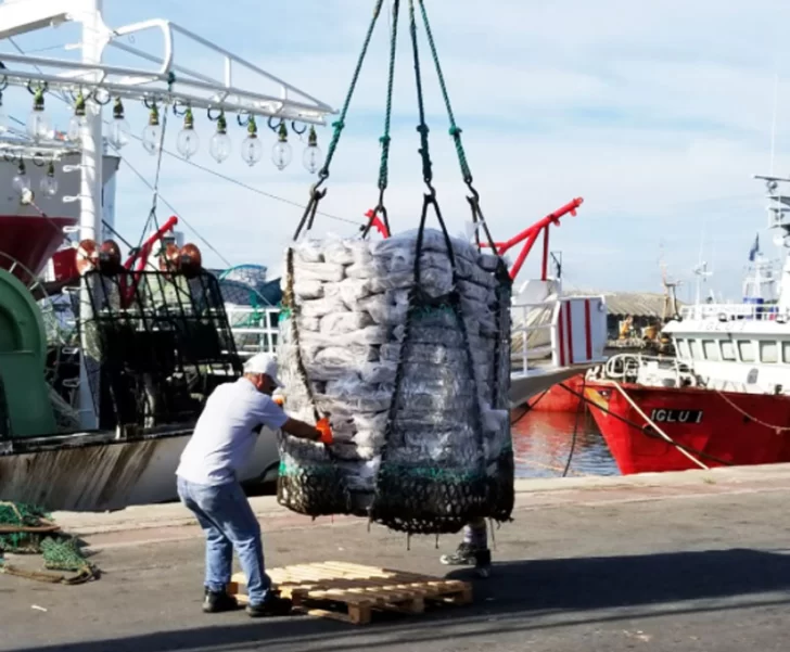 estibadores-pesca-puerto-4-728x601 estibadores-pesca-puerto-4-728x601