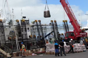 Pesca argentina: las exportaciones superaron los USD 1.000 millones en los primeros cinco meses de 2026