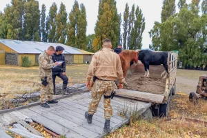 Acusaron a un hombre de faenar un ternero de forma clandestina en una estancia cerca de El Chaltén