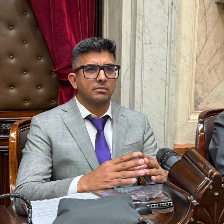 Jairo Guzmán defendió la reforma de la Ley de Glaciares: “Trae desarrollo y más autonomía para las provincias” Jairo Guzmán defendió la reforma de la Ley de Glaciares: “Trae desarrollo y más autonomía para las provincias”