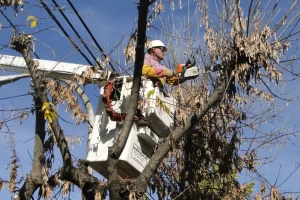 Corte de luz en Río Gallegos este martes: horarios y zonas afectadas