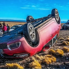 Vuelco en la Ruta Provincial 29: una conductora fue hospitalizada tras esquivar un guanaco