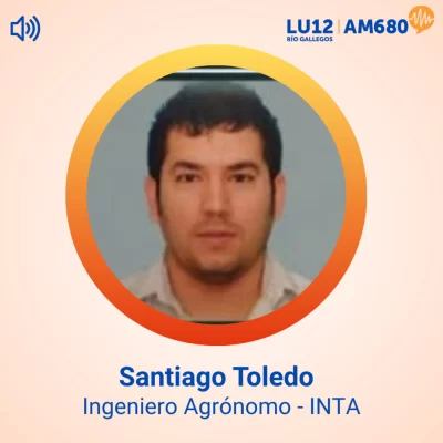 INTA Santa Cruz evalúa híbridos de maíz y abre una nueva posibilidad productiva en la provincia