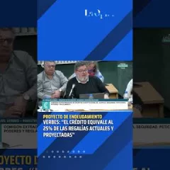 Verbes en Diputados: “El crédito equivale al 25% de las regalías actuales y proyectadas”