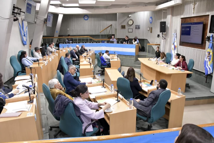 Verbes en Diputados: “El crédito equivale al 25% de las regalías actuales y proyectadas”