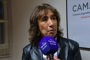 Escándalo por la salida del ministro Juan Mata: Roxana Reyes indicó que la renuncia no es suficiente