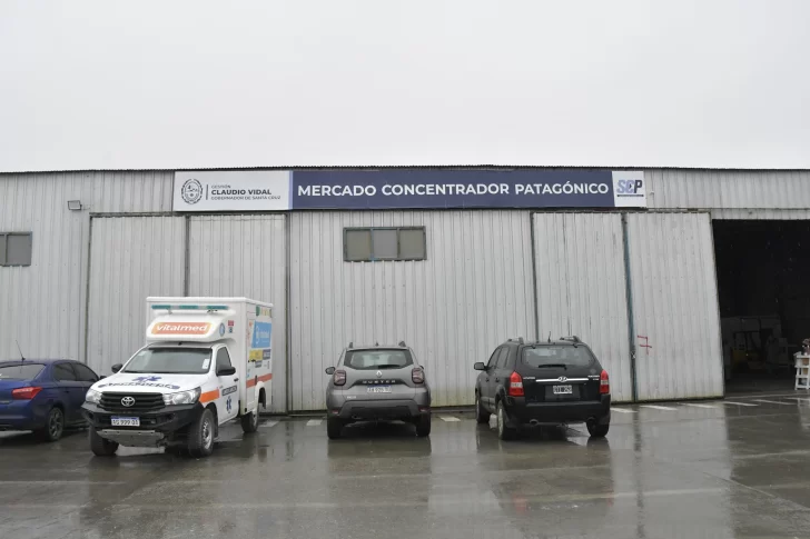 EDIFICIO-MERCADO-CONCENTRADOR-PATAGONICO-728x485