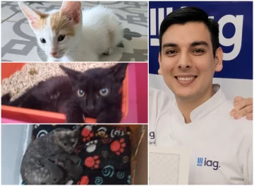 “Asesino de gatitos”: los casos por los que denunciaron al santacruceño Adriel Santiago Caminos Ortega “Asesino de gatitos”: los casos por los que denunciaron al santacruceño Adriel Santiago Caminos Ortega