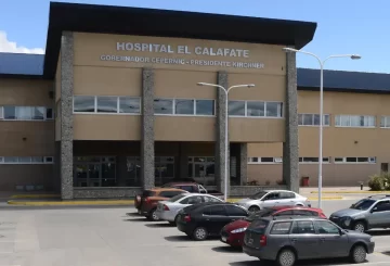 Muerte de dos bebés en el Hospital SAMIC de El Calafate: cómo sigue la causa Muerte de dos bebés en el Hospital SAMIC de El Calafate: cómo sigue la causa