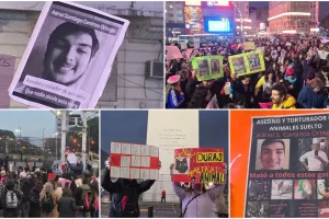 Marcharon al obelisco contra el santacruceño denunciado por asesinar gatitos Marcharon al obelisco contra el santacruceño denunciado por asesinar gatitos