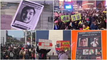 Marcharon al obelisco contra el santacruceño denunciado por asesinar gatitos Marcharon al obelisco contra el santacruceño denunciado por asesinar gatitos