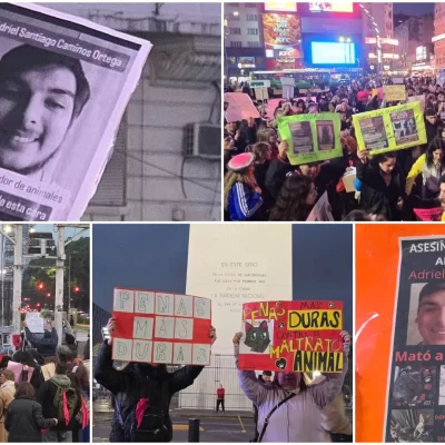 Marcharon al obelisco contra el santacruceño denunciado por asesinar gatitos