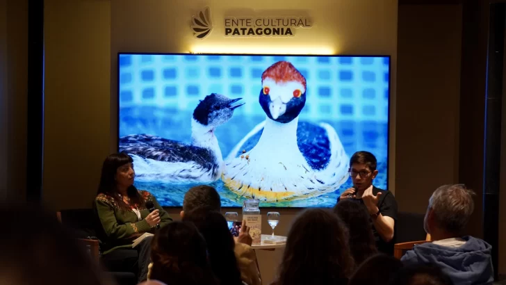 MARTIN-BERICAT-PRESENTACION-728x410