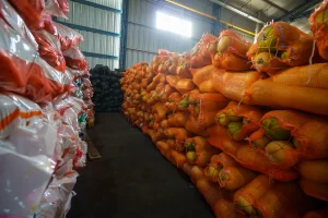 Cuánto cuestan las frutas y verduras en el Mercado Concentrador Patagónico de Santa Cruz en Río Gallegos