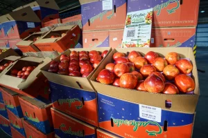 Mercado Concentrador Patagónico: precios y productos al por mayor en Río Gallegos