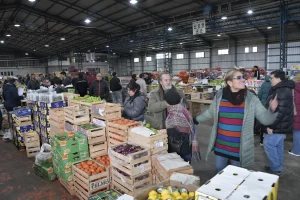 Jubilados y pensionados de Santa Cruz tendrán descuentos en frutas y verduras en el Mercado Concentrador Jubilados y pensionados de Santa Cruz tendrán descuentos en frutas y verduras en el Mercado Concentrador