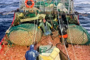 Nadia Ricci confirmó que la prospección del langostino iniciará el 26 de mayo en Santa Cruz Nadia Ricci confirmó que la prospección del langostino iniciará el 26 de mayo en Santa Cruz
