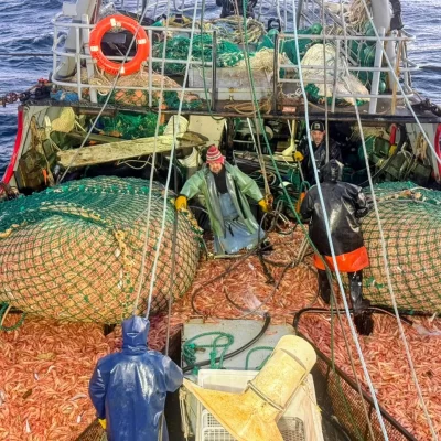 Zafra del langostino 2026: Puerto Deseado y Caleta Paula con pronósticos postivos para los desembarcos