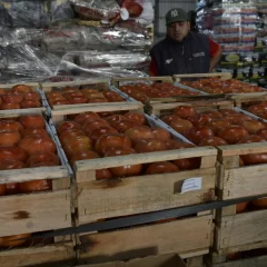 Proyectan una nueva sede del Mercado Concentrador Patagónico en Cañadón Seco