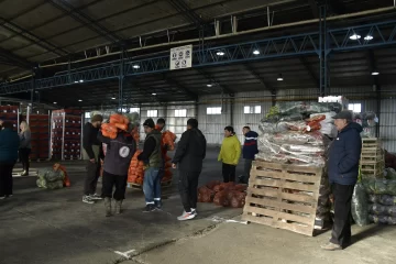 Mercado Concentrador Patagónico abrirá el sábado para venta al público Mercado Concentrador Patagónico abrirá el sábado para venta al público