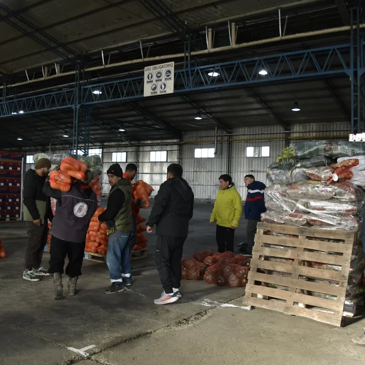 Mercado Concentrador Patagónico abrirá el sábado para venta al público Mercado Concentrador Patagónico abrirá el sábado para venta al público