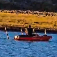 Rescataron un flamenco en la Reserva Municipal de Perito Moreno