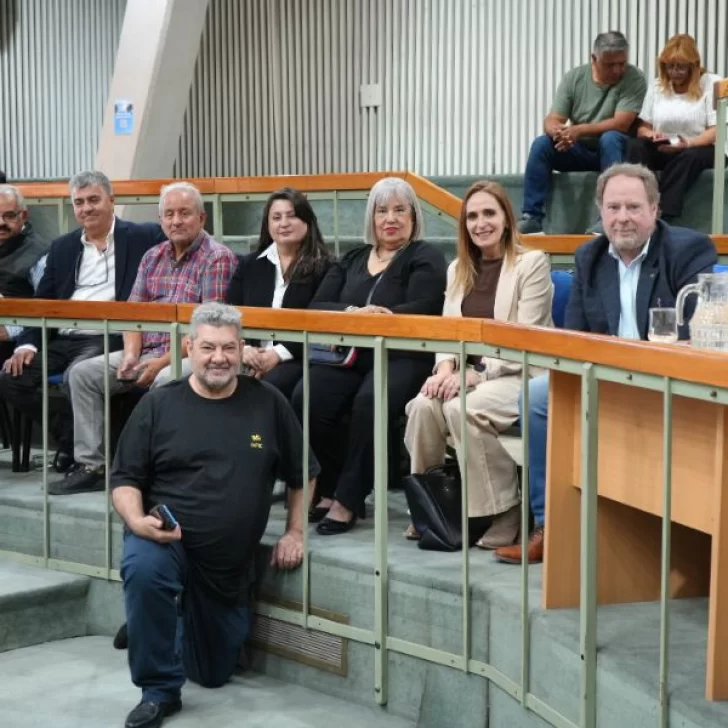 Santa Cruz aprobó la reglamentación de la Ley de Emergencia Comercial, Industrial y PyME