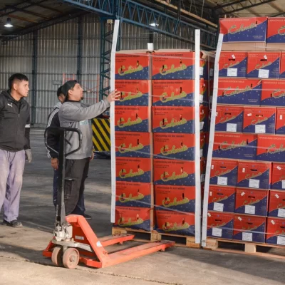 Productores de Entre Ríos, Bahía Blanca y Mendoza se suman al Mercado Concentrador Patagónico