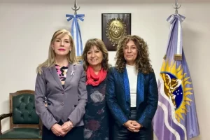 Expectativa en la Justicia de Santa Cruz por cómo estará integrado el nuevo Tribunal de Enjuiciamiento