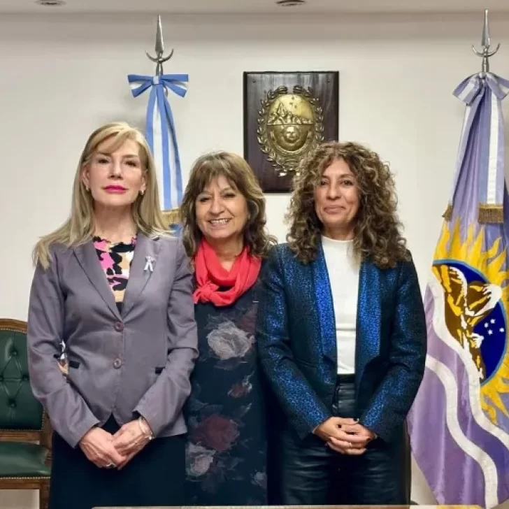 Expectativa en la Justicia de Santa Cruz por cómo estará integrado el nuevo Tribunal de Enjuiciamiento Expectativa en la Justicia de Santa Cruz por cómo estará integrado el nuevo Tribunal de Enjuiciamiento