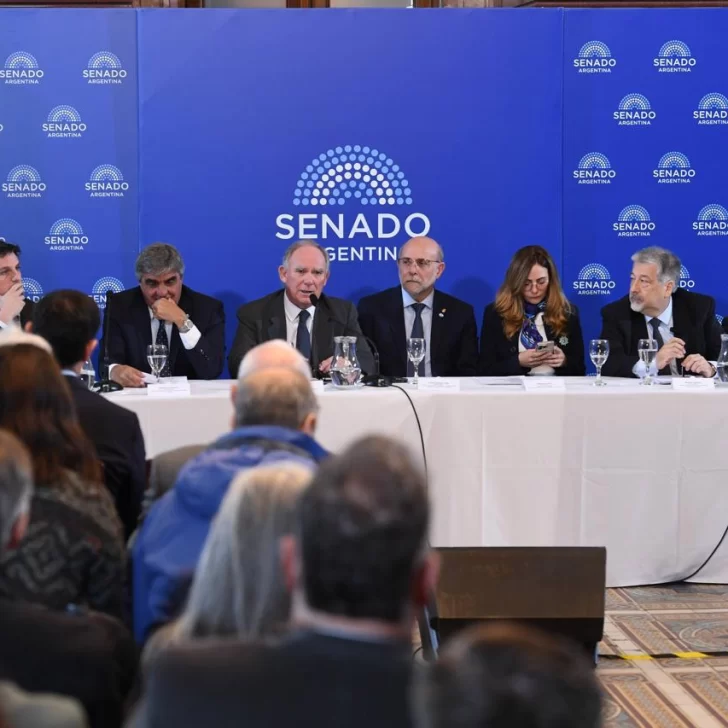 Cadena de valor: la minería anticipa su propia crisis de crecimiento Cadena de valor: la minería anticipa su propia crisis de crecimiento