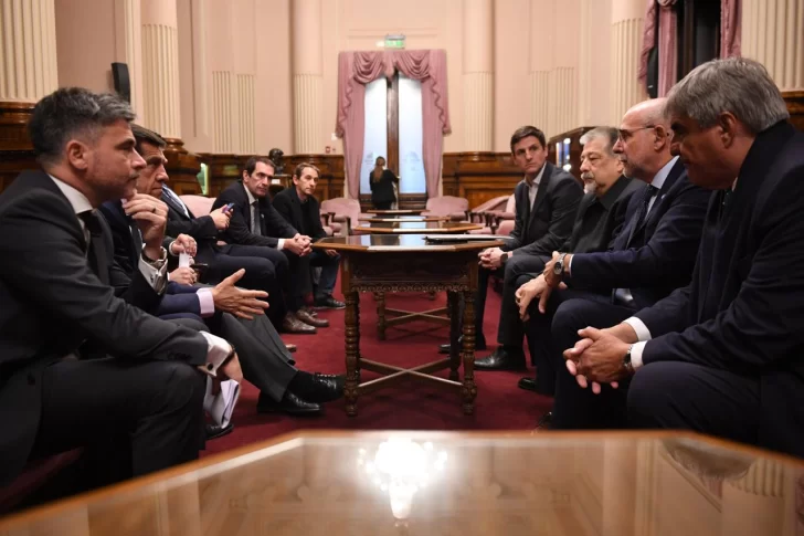  Los referentes del sector en el Salón Eva Perón del Congreso.
