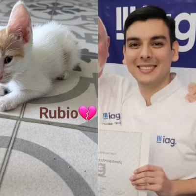 Horror por el santacruceño acusado de matar gatos: testigos aseguran que repartía “croquetas de carne” en parroquias